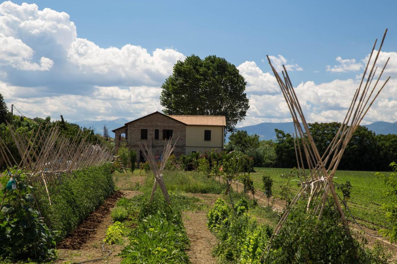 Agriturismo Terralieta Roseto Degli Abruzzi Eksteriør billede