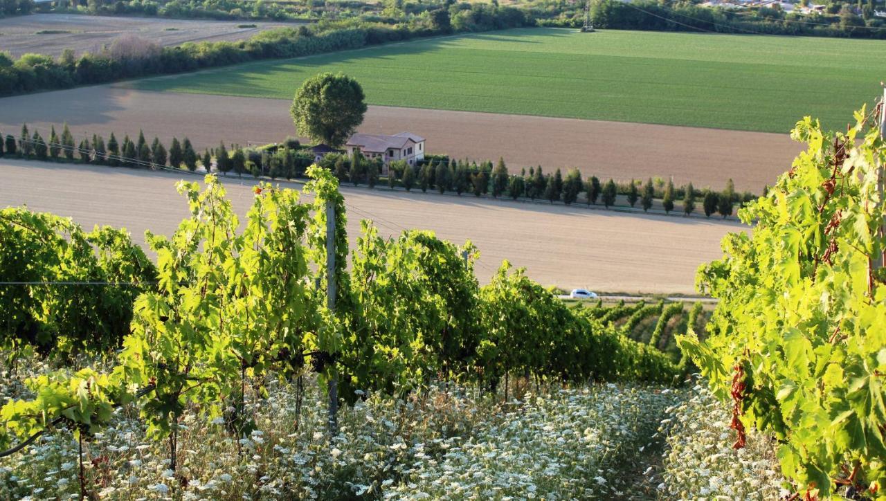 Agriturismo Terralieta Roseto Degli Abruzzi Eksteriør billede