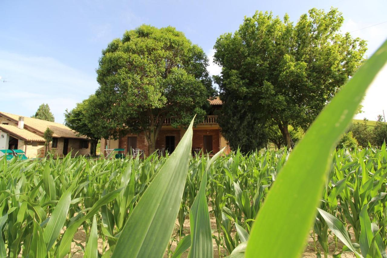 Agriturismo Terralieta Roseto Degli Abruzzi Eksteriør billede