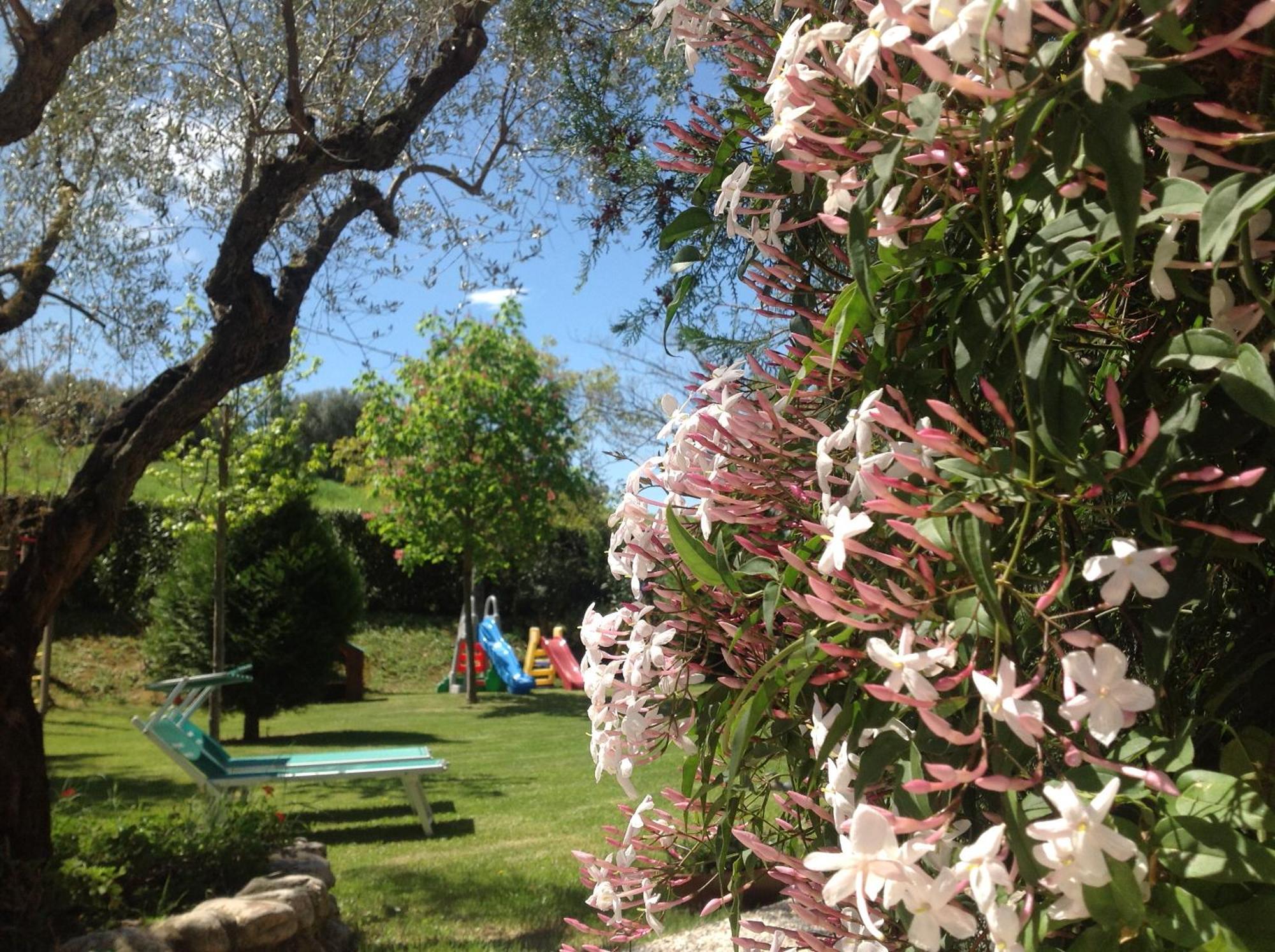 Agriturismo Terralieta Roseto Degli Abruzzi Eksteriør billede